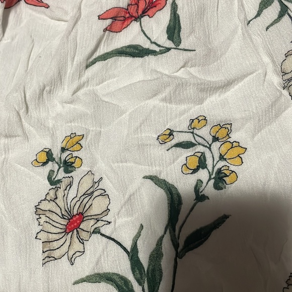 Hollister Top - Picture 4 of 4